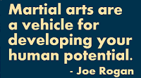 Martial arts are a vehicle for developing your human potential
