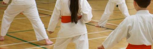 orange belts